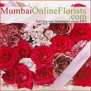 Best Gifts for Occasion of Light in Mumbai  Free Delivery Cheap Pric