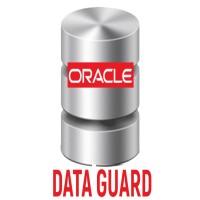 Oracle Data Guard Training  Viswa Online Trainings From India