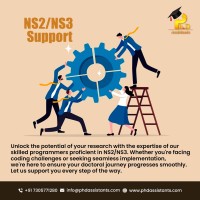 NS2NS3 support  Implementation service  PhD Assistance